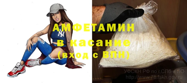 шишки Гусь-Хрустальный