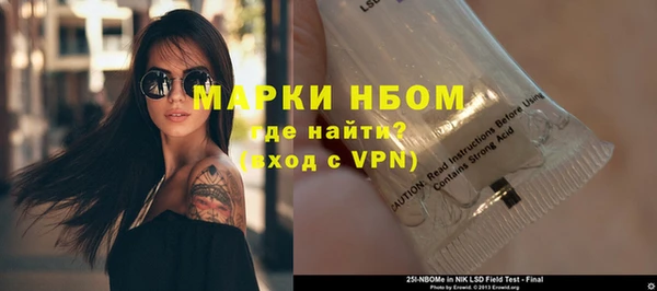 шишки Гусь-Хрустальный