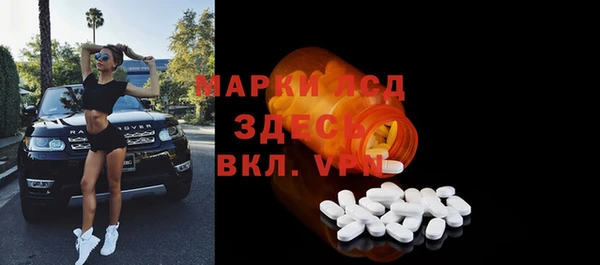 спиды Гусев
