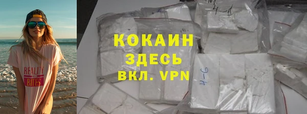 шишки Гусь-Хрустальный