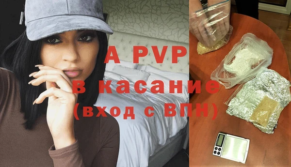 спиды Гусев