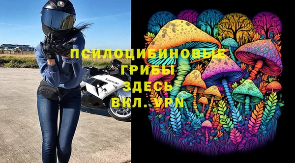 прущая мука Дмитровск