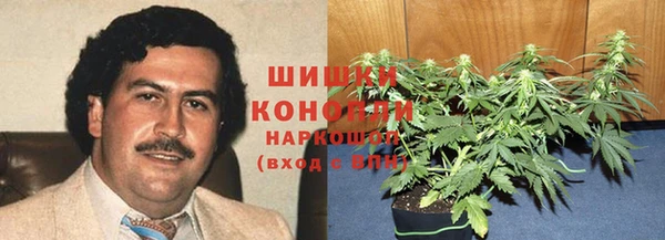шишки Гусь-Хрустальный