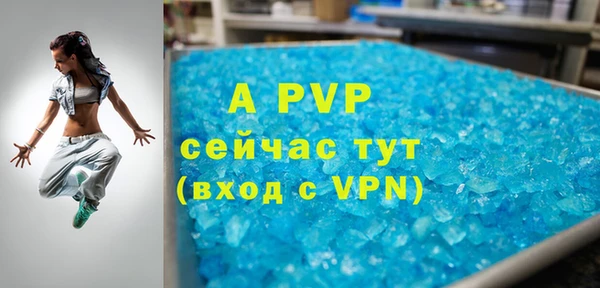 спиды Гусев