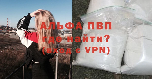 шишки Гусь-Хрустальный