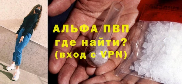 спиды Гусев